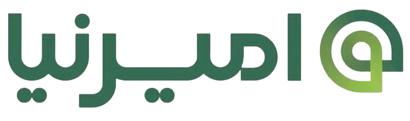 امیرنیا
